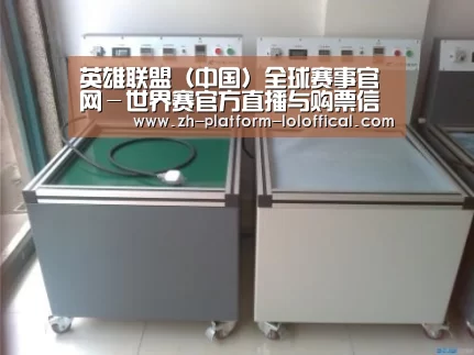 LOL世界赛官网案例展示二