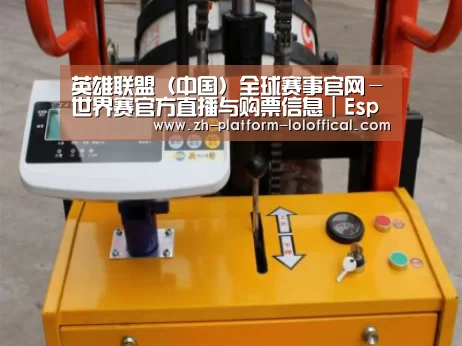 LOL世界赛官网案例展示三(图1)