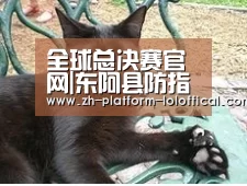 LOL世界赛官网