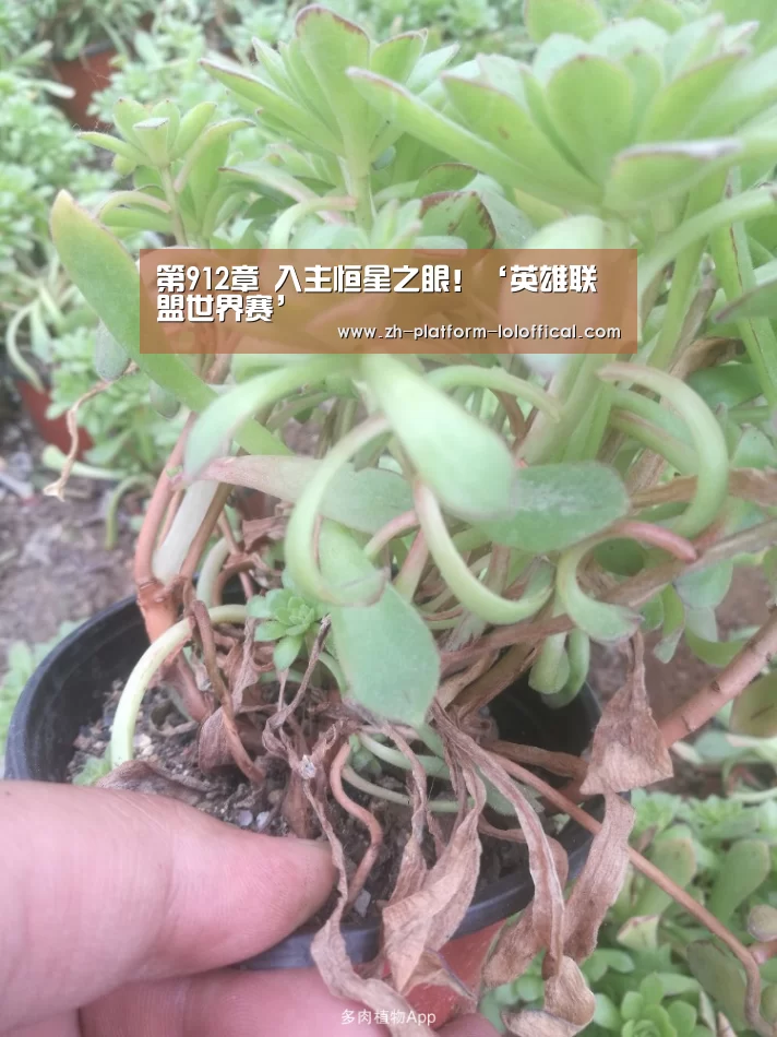 全球总决赛官网