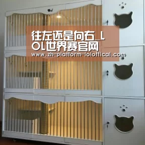 往左还是向右_LOL世界赛官网(图3) 英雄联盟世界赛